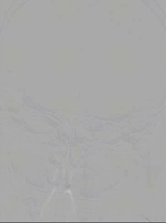 media1 00_00_00-00_00_30.gif