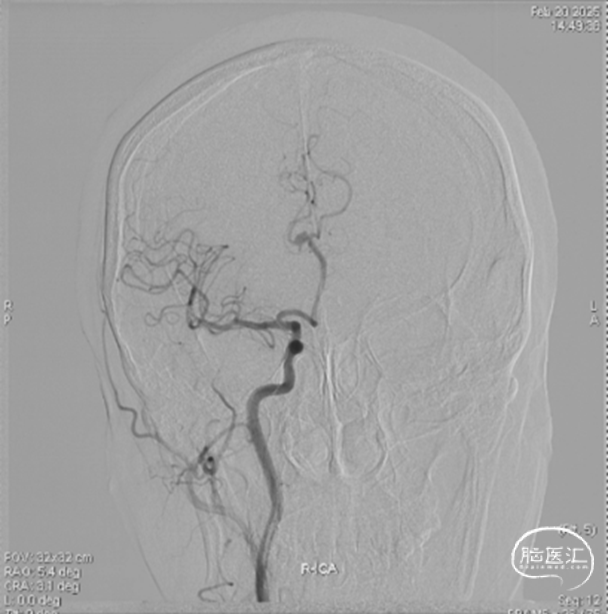 image1.png