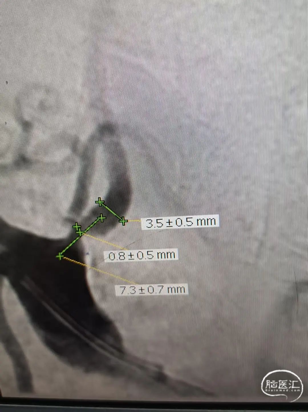 image8.jpeg