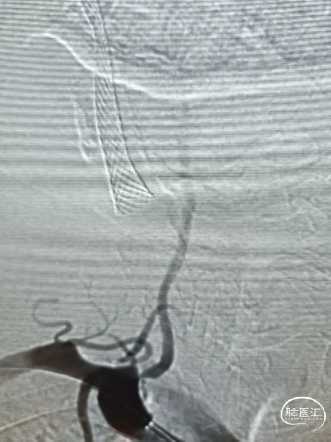 image7.jpeg