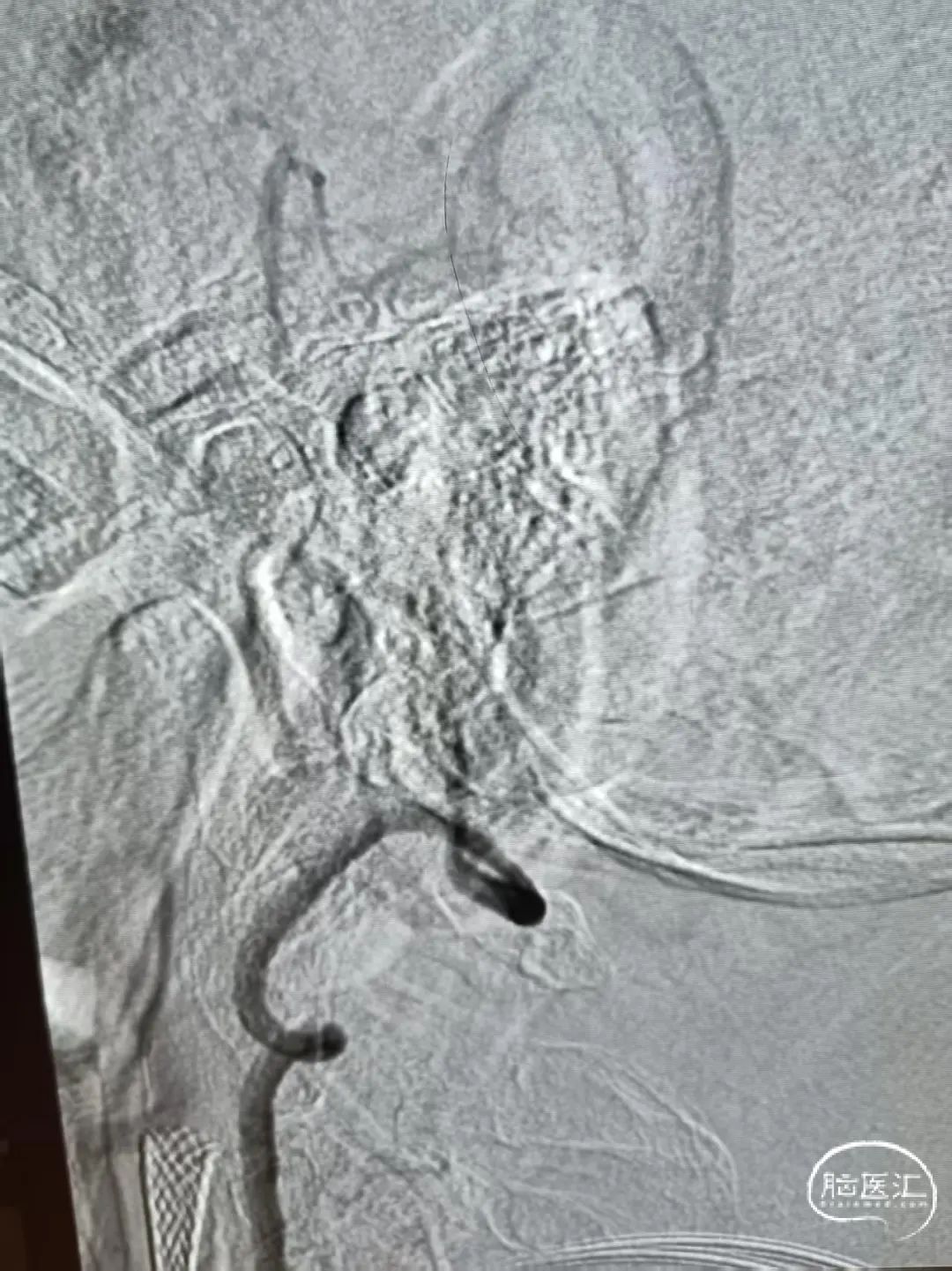 image12.jpeg