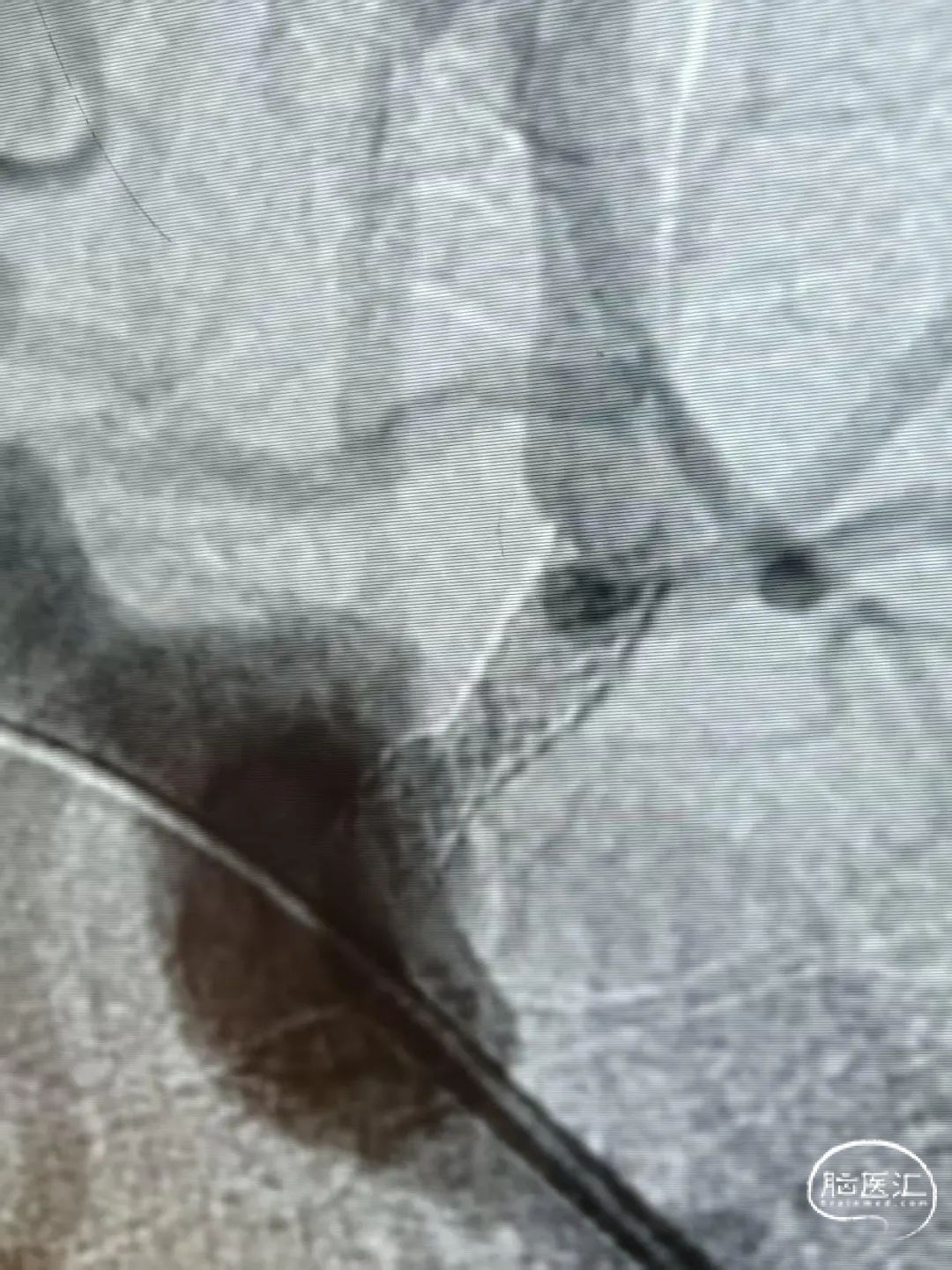 image10.jpeg