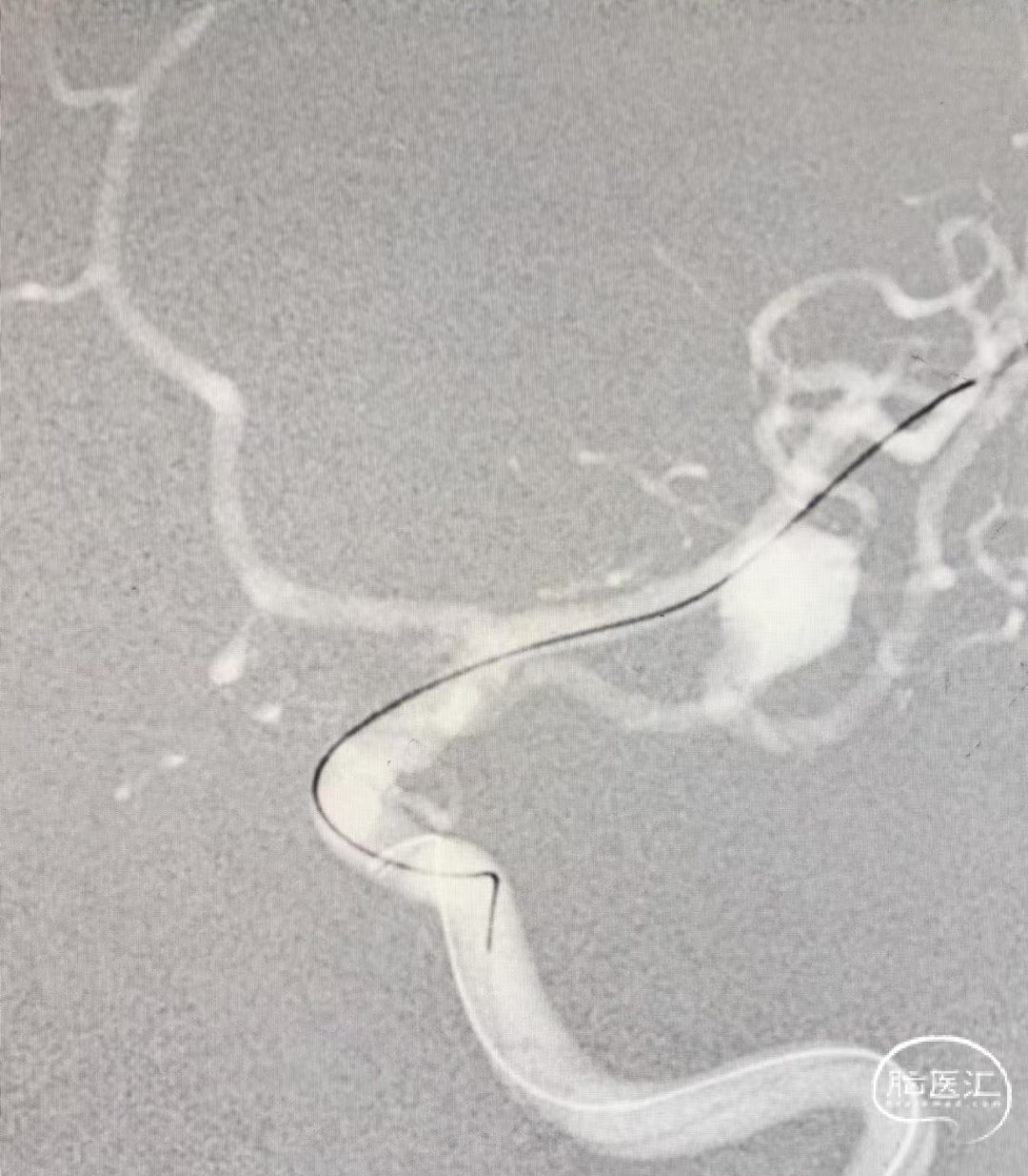 image3.png