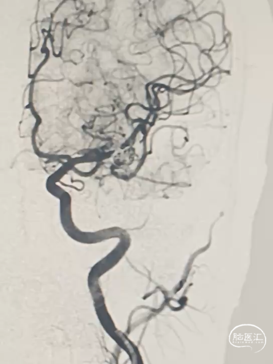 image6.png