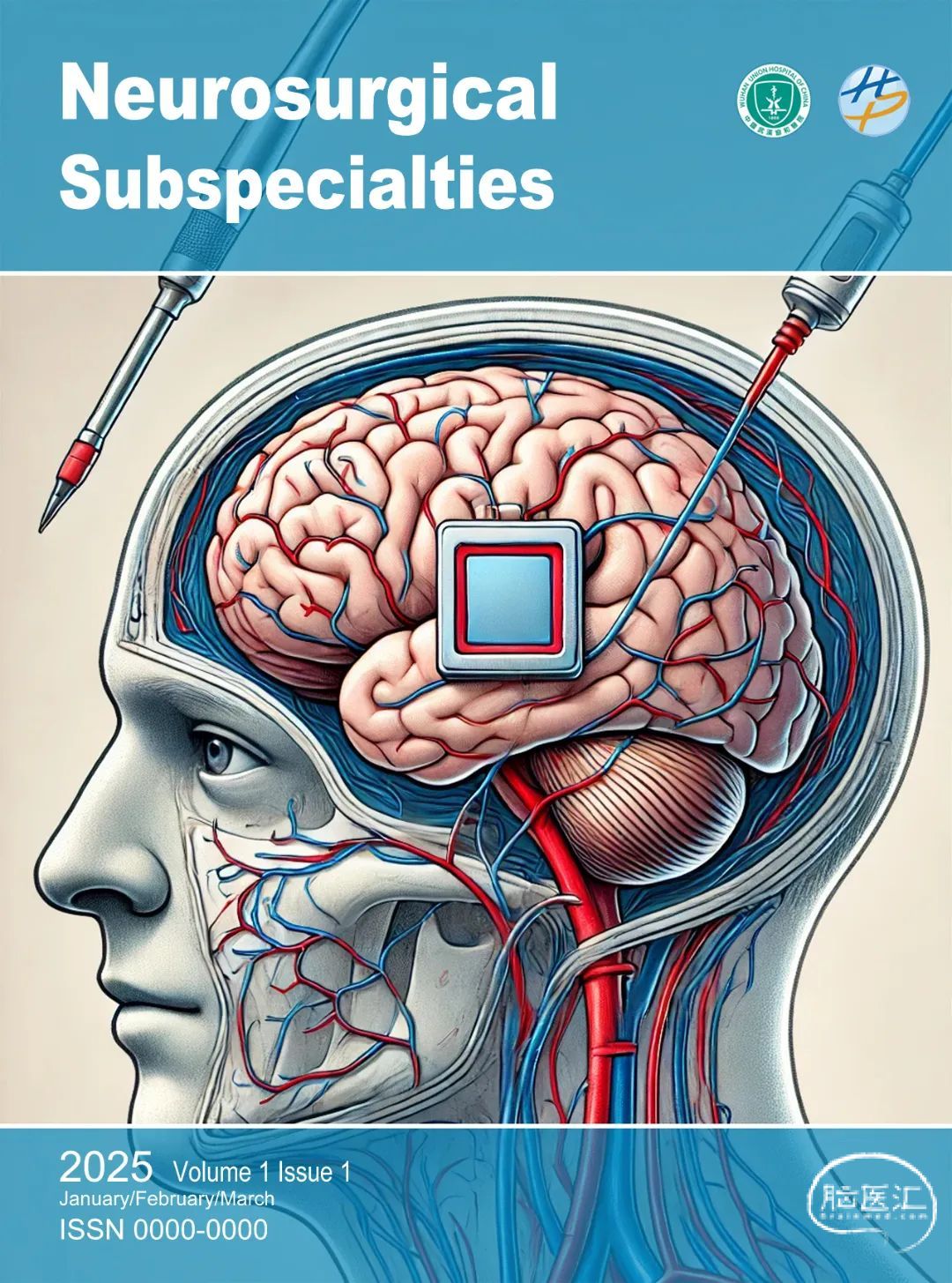NSSS cover.jpg