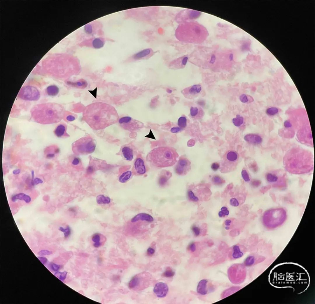 nsss-25-1-g003.jpg