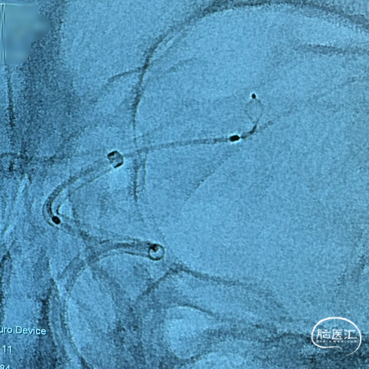 image10.png