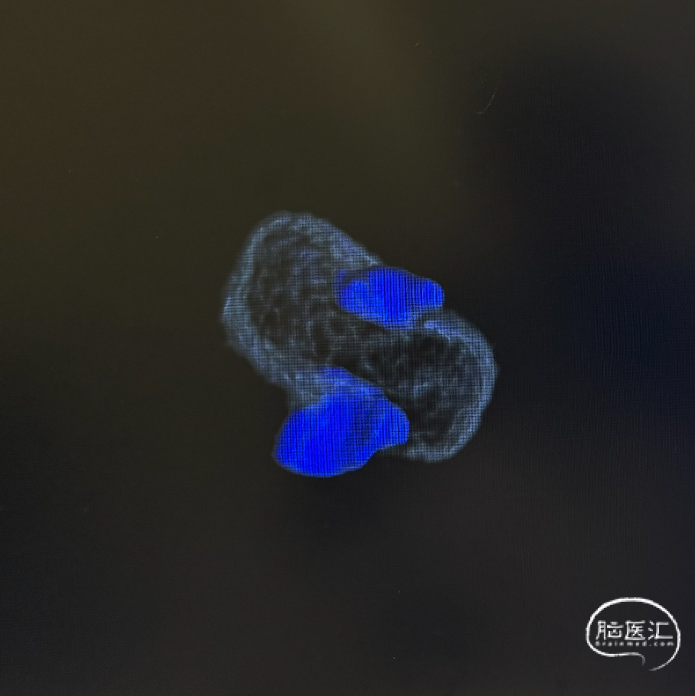 image23.png