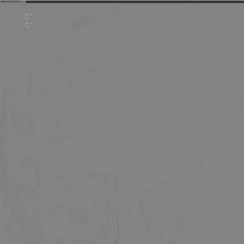王君4_1.gif