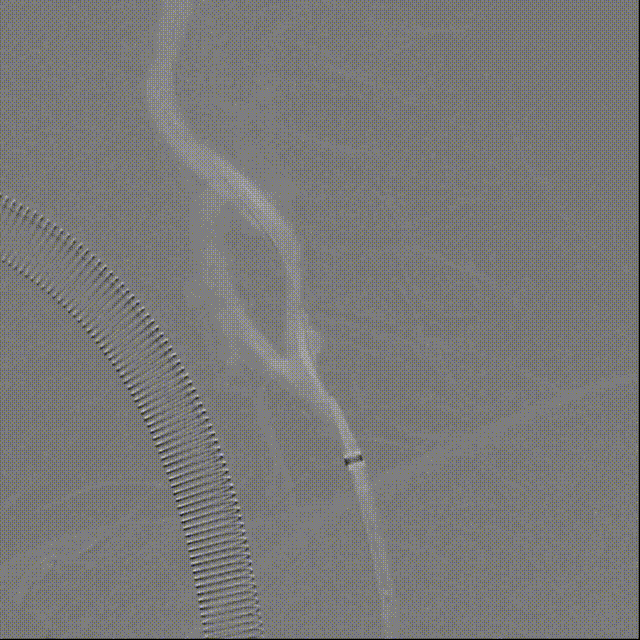 视频20 00_00_00-00_00_30.gif