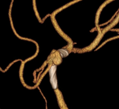 image24.GIF