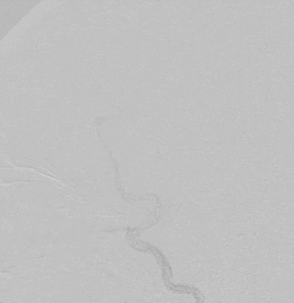 image21.GIF