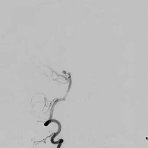 长海2.gif