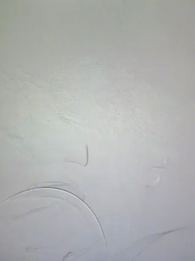 media6 00_00_00-00_00_30.gif