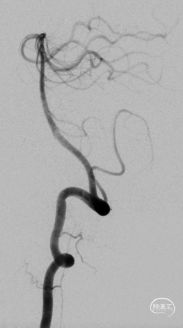 image12.png