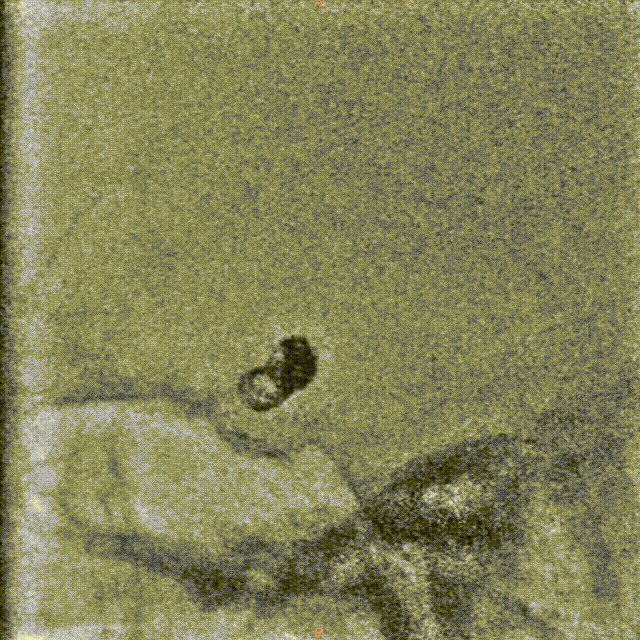 media9 00_00_00-00_00_30.gif