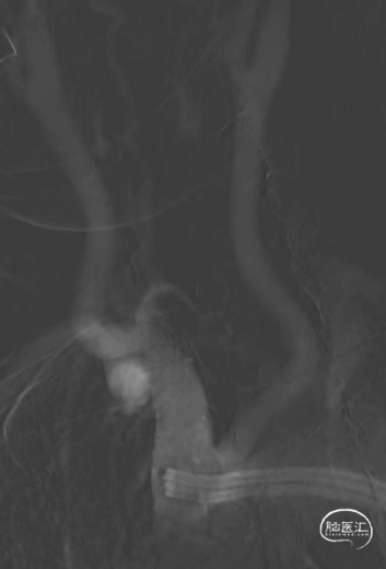 image7.png