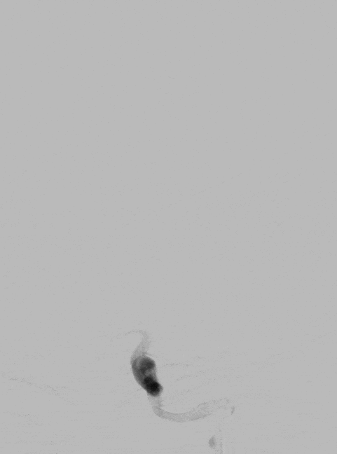 image13.GIF