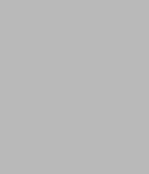 image19.GIF