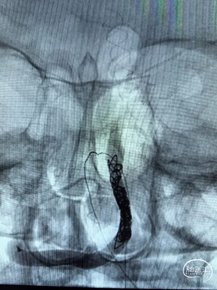 image23.jpeg