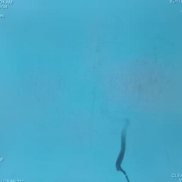 media15 00_00_00-00_00_30.gif