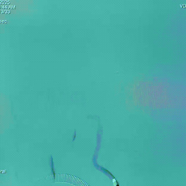 ppt10-2 00_00_00-00_00_30.gif