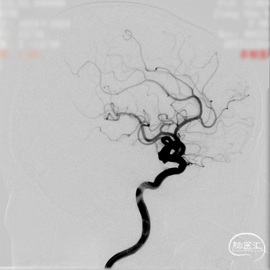 image11.png