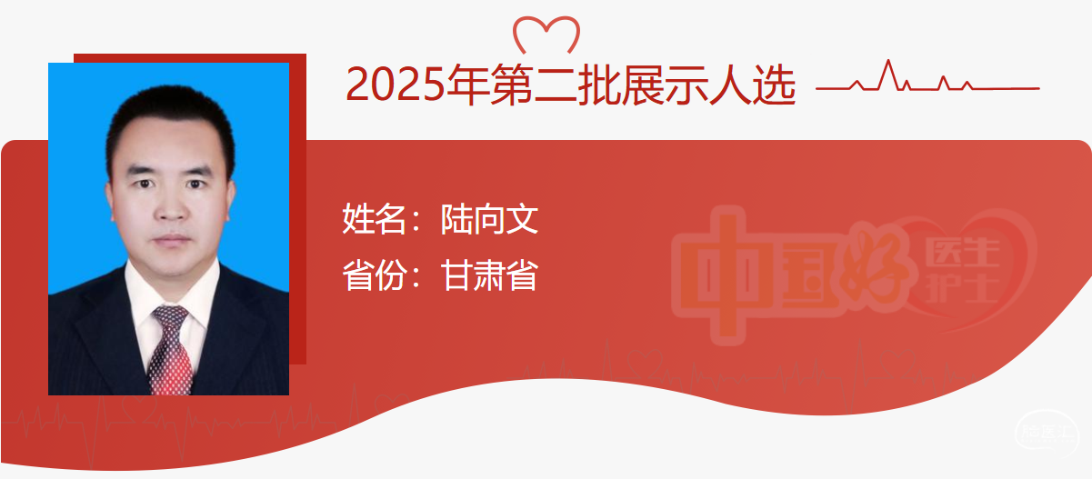 陆向文.png