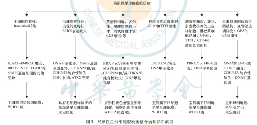图三.png