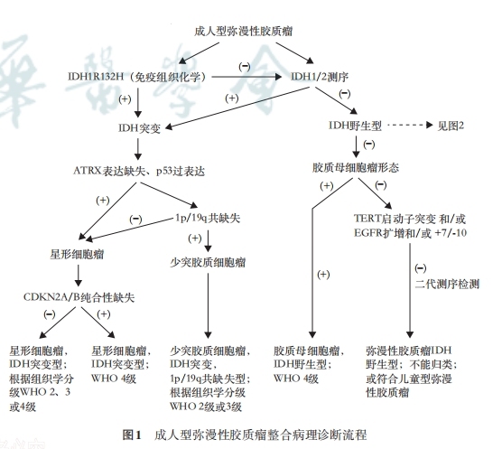 图一.png