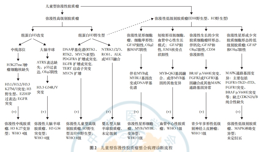 图二.png