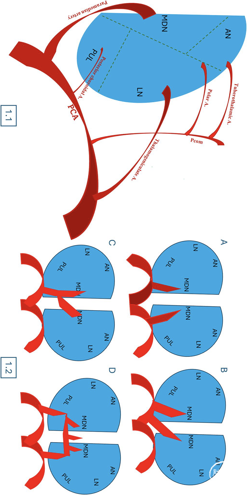 e46a4ec8370f5616eeab6feec19c3e43.png