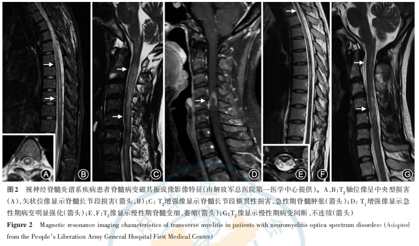 图2.png