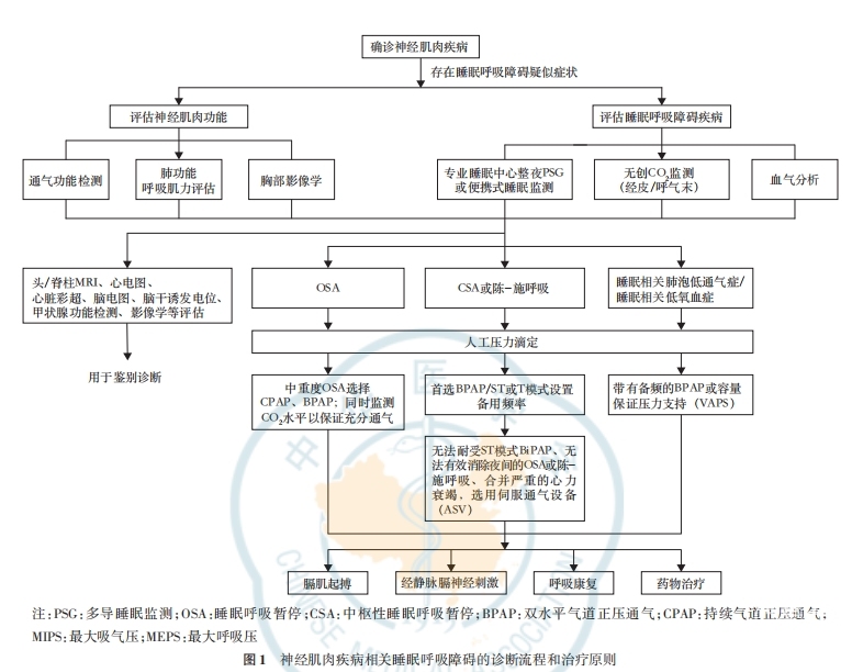 无创辅助通气是什么神经肌肉疾病相关睡眠呼吸障碍诊治专家共识（2025）_https://www.jmylbn.com_新闻资讯_第5张