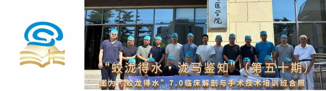 枕动脉显微解剖及枕-椎动脉危险吻合全景解析