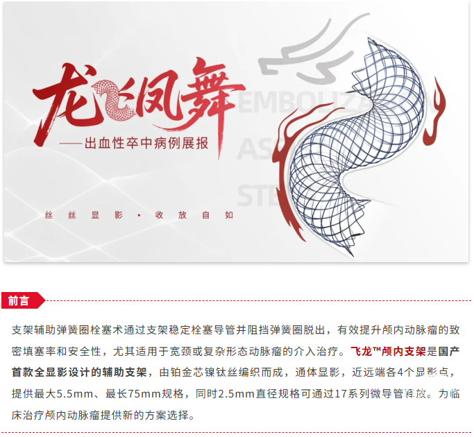 龙飞凤舞.png
