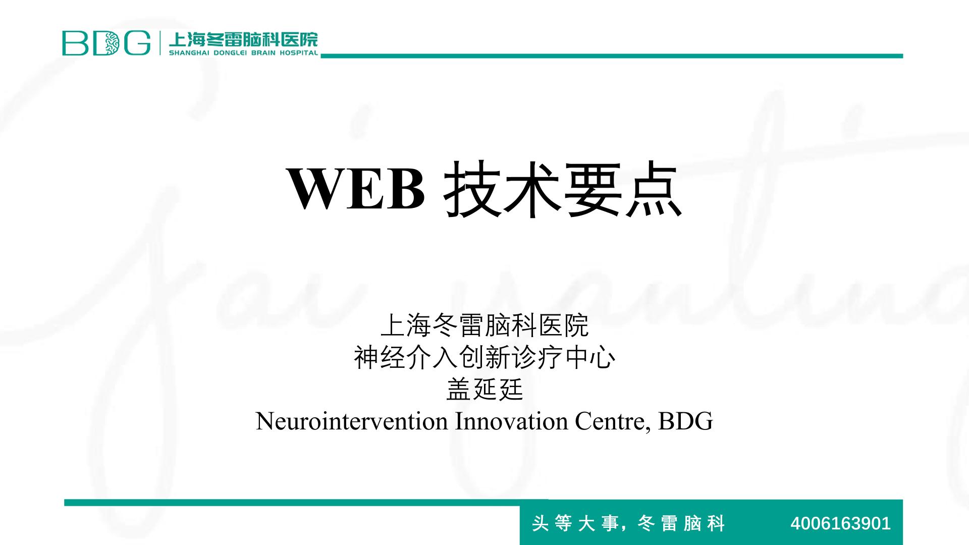 血管内扰流装置web技术要点