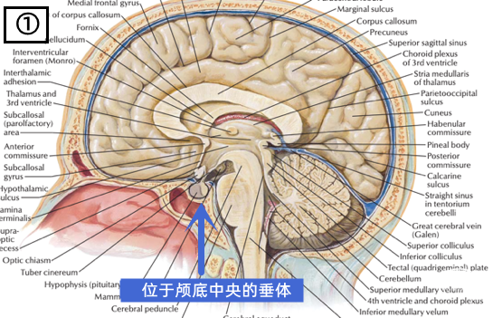 null 图片1.png