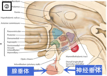 null 图片2.png