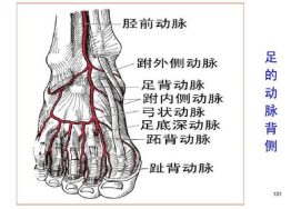 微信图片_20220719165132.png