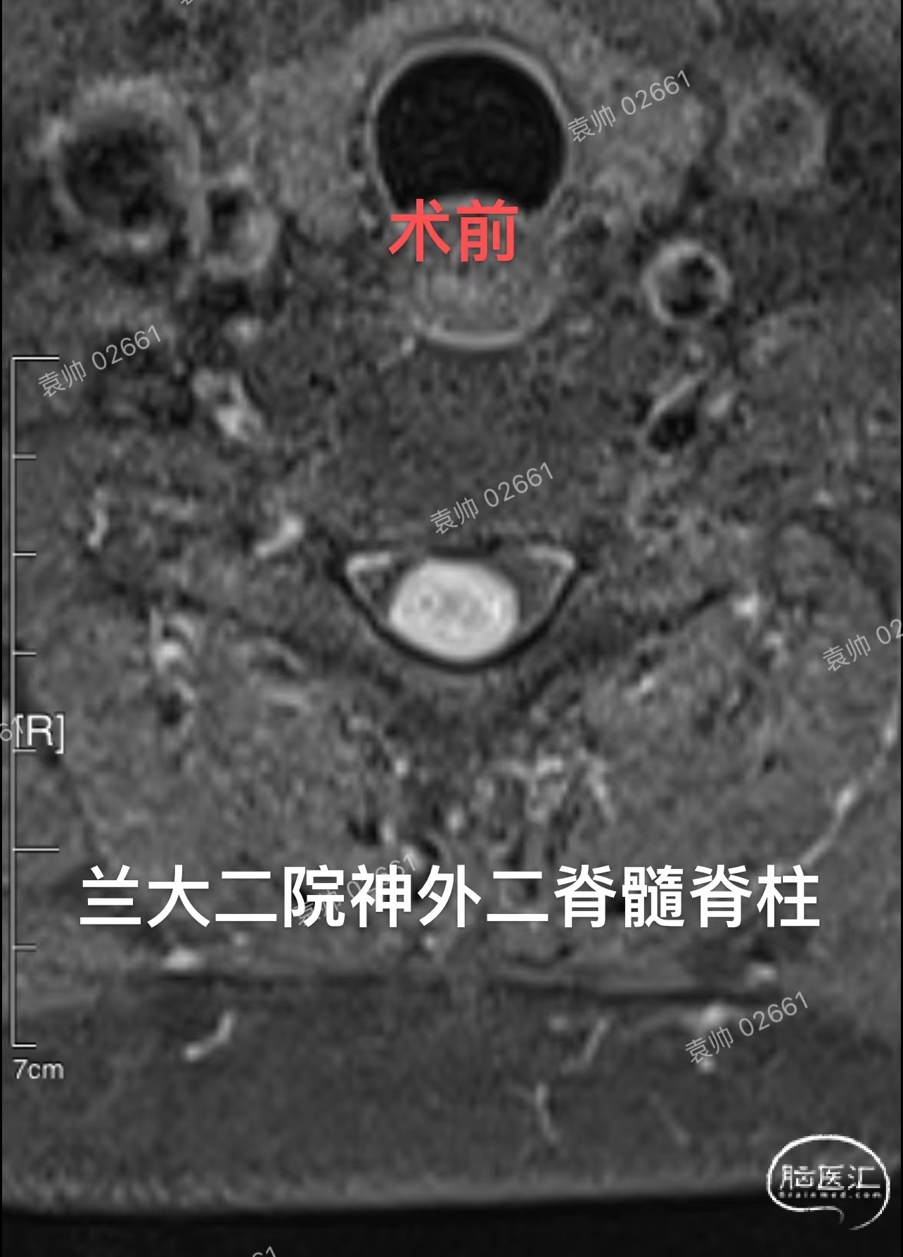 微信图片_202208011019344.jpg