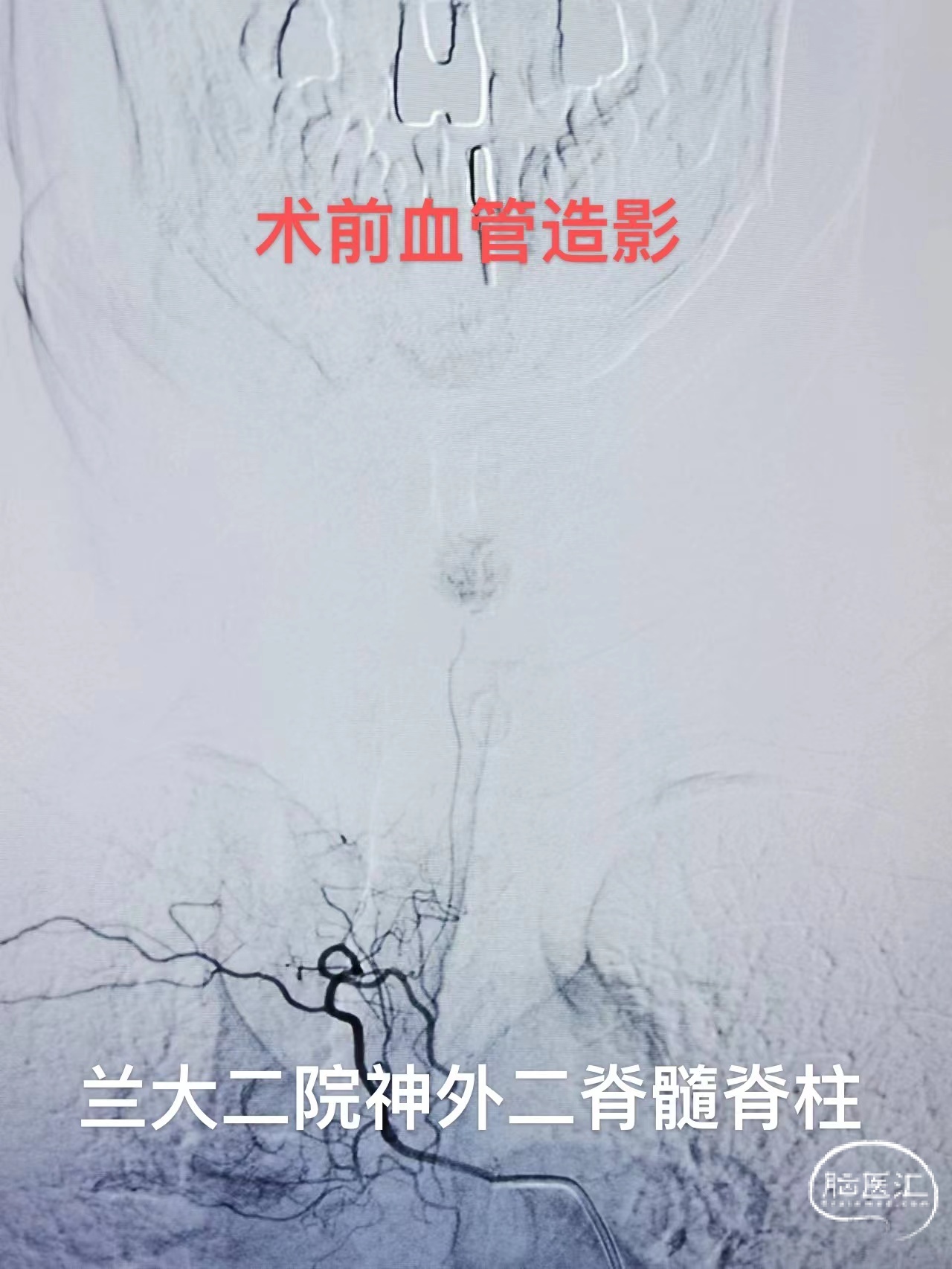 微信图片_202208011019346.jpg
