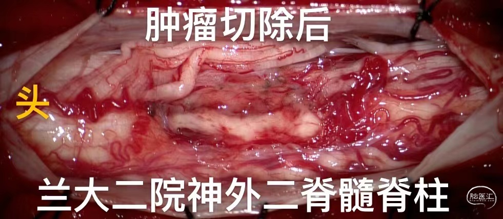 微信图片_2022080110193412.jpg