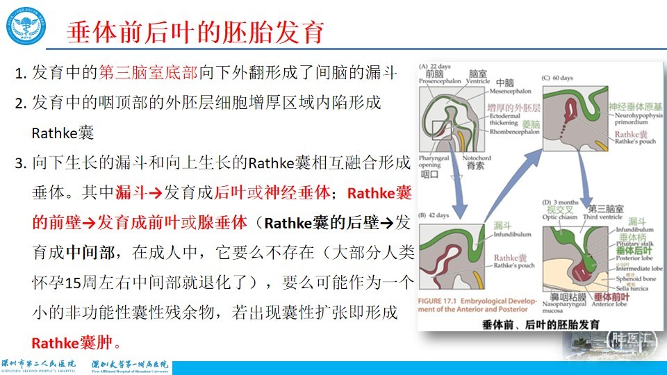幻灯片2.jpg