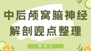 中后颅窝脑神经的解剖观点整理