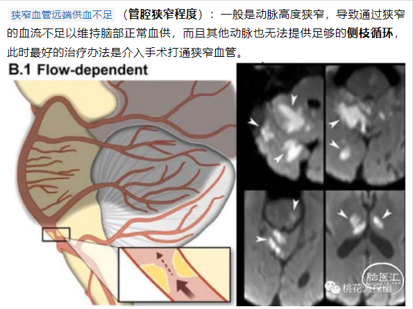 王以舟1截图.png