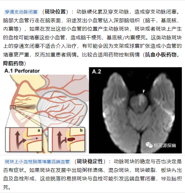 王以舟2截图.png