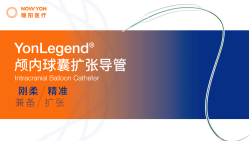 YonLegend®颅内球囊扩张导管