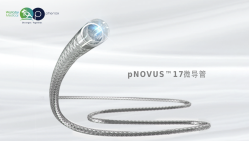 pNOVUS™ 17微导管