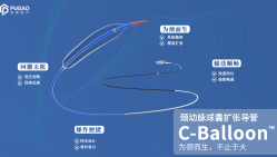 C-Balloon®颈动脉球囊扩张导管